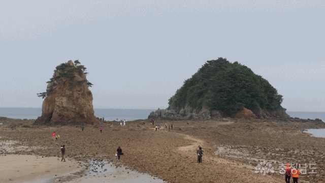 태안해변 샛별길을 걷다(꽃지해변~황포항)