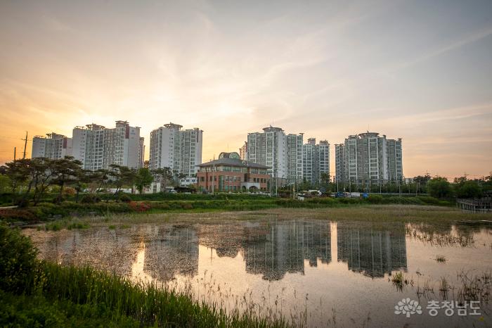 생태계의 보고, 홍성 역재방죽 생태공원