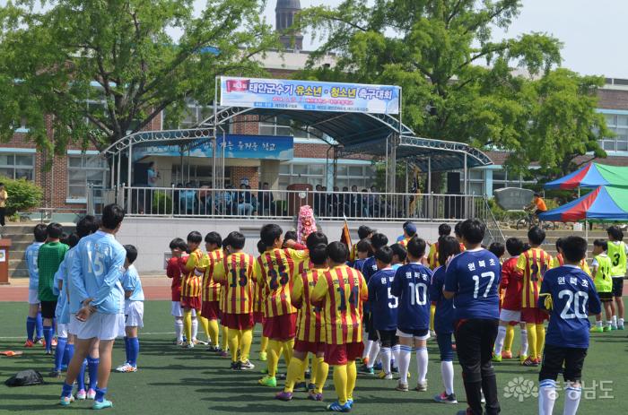 태안군수기, 유소년 축구대회 열려