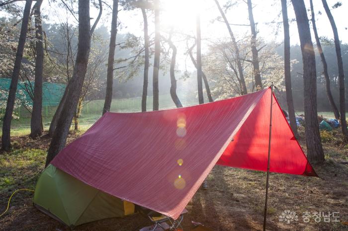 싱그러운 아침햇살과 함께한 안면도 캠핑 사진