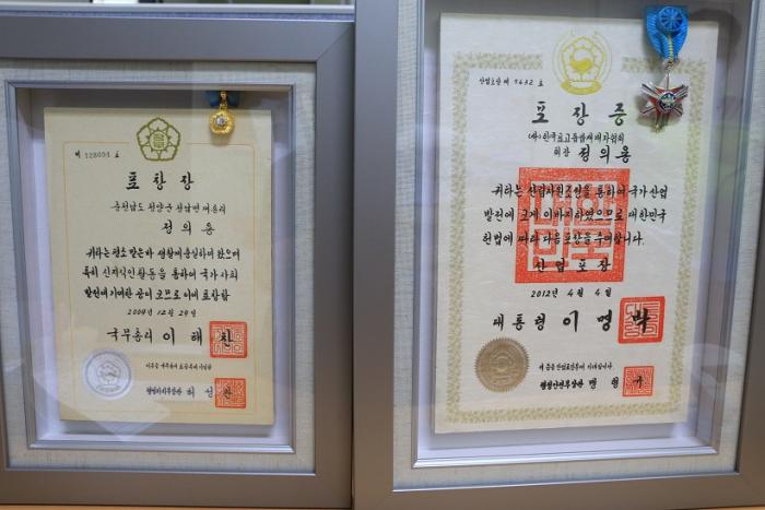 대한민국 표고버섯의 역사를 바꾼 톱밥표고 사진