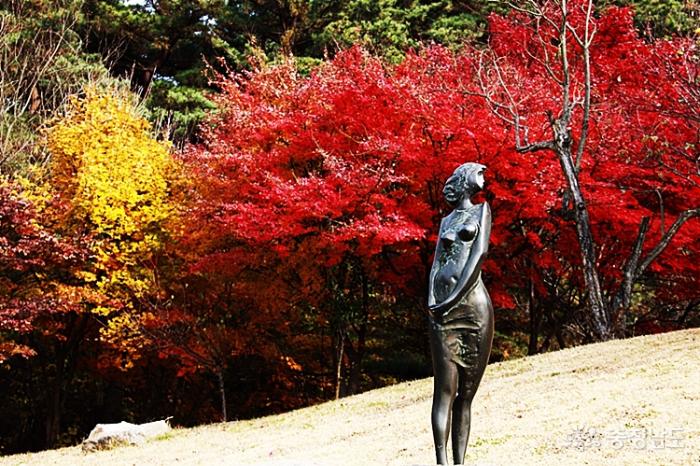 당림미술관에서 秋끝자락의 여유로움 즐겨보자 사진