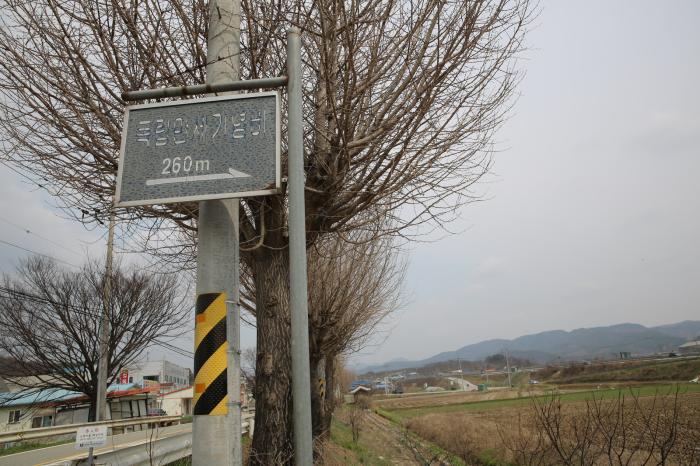 석송리 기념비를 보며 생각한 일본의 역사왜곡