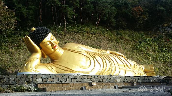 부처님 뱃속에 진신사리를 모신 법당이 있다! 없다! 사진