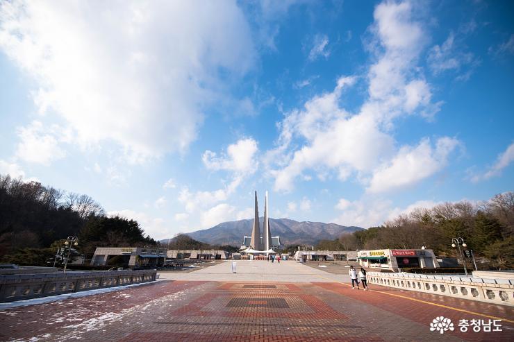 천안 독립기념관 단풍나무길의 겨울