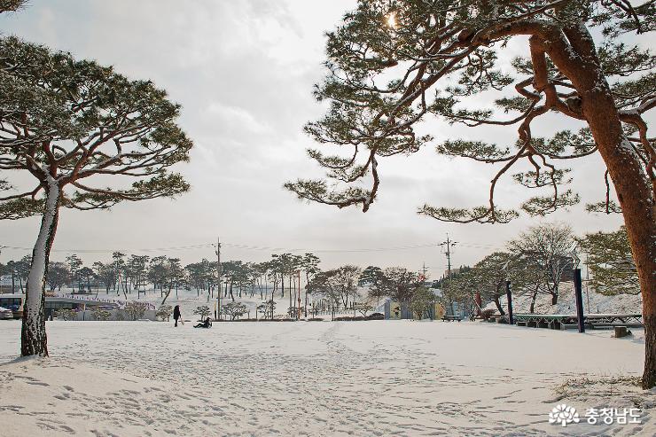홍성 안회당과 여하정 겨울 풍경