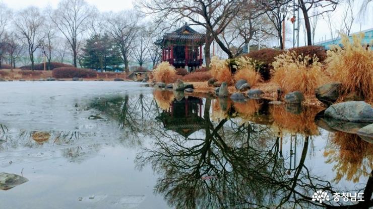 천안삼거리공원 겨울 아침산책