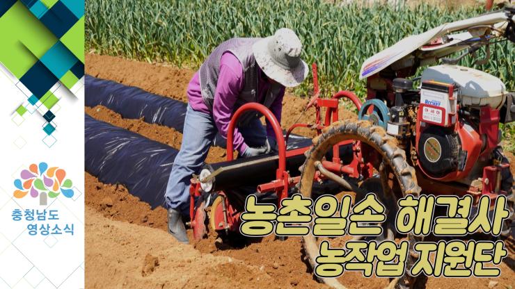 [NEWS]농촌일손 해결사 / 농작업 지원단
