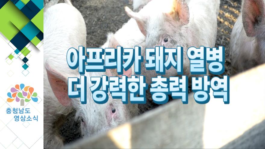 [NEWS] 아프리카 돼지열병 더 강력한 총력 방역
