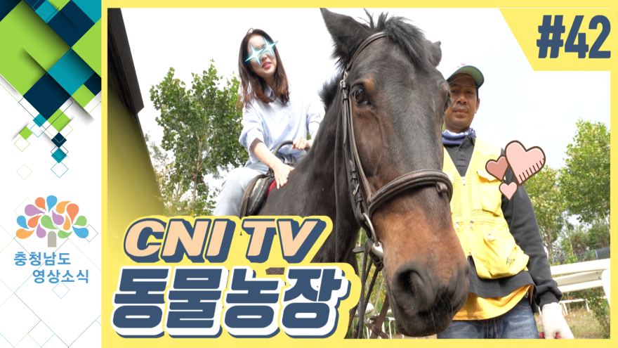 [VCR] CNI TV 동물농장