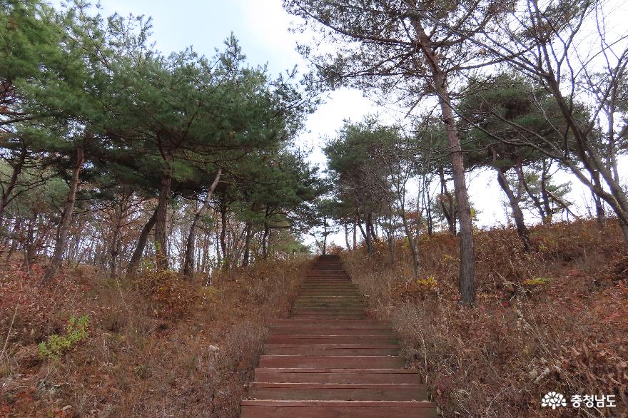청양 구기자타운 11월 산책로 풍경
