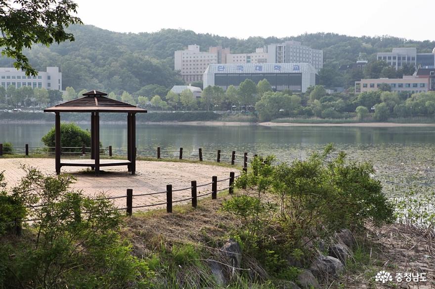 천안 천호지공원, 사계절 사랑받는 휴식처