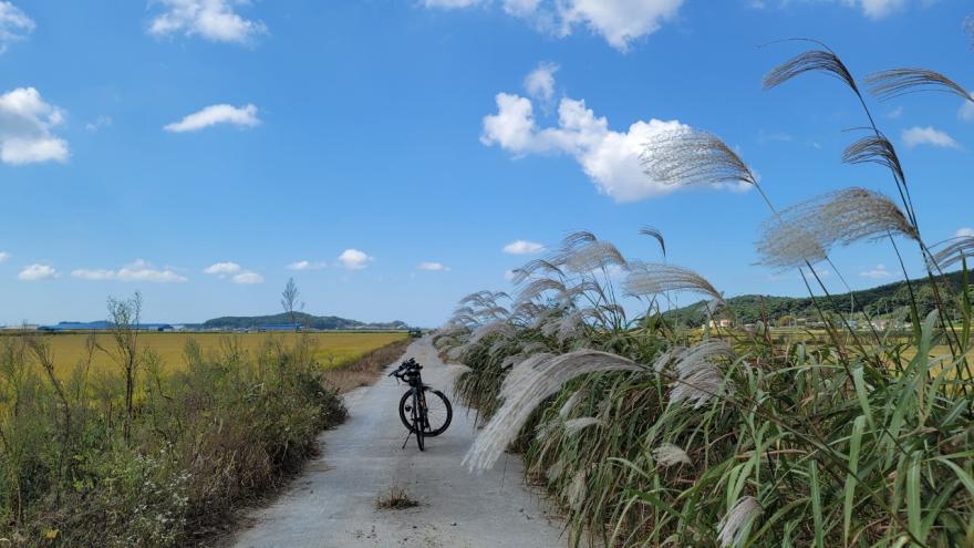 남포 방조제  가을날에 자전거 타는 풍경