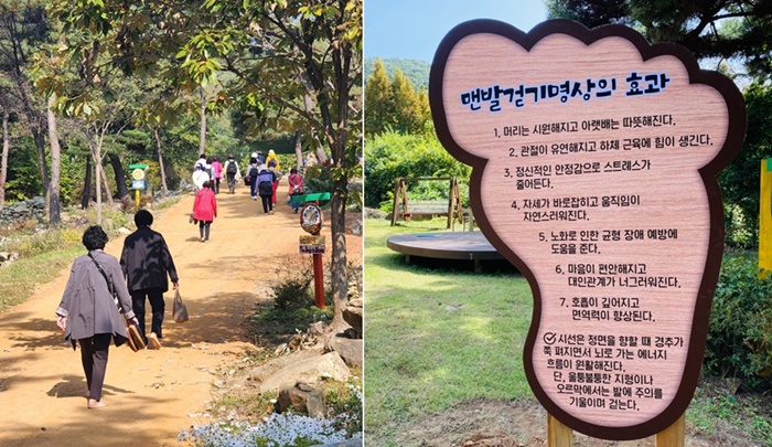 국학원, 온가족이 함께 하는 ‘해피로드 맨발걷기 축제’ 개최
