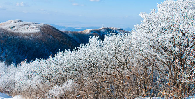 서해의 등대 '오서산' 1km 눈꽃길 환상 사진